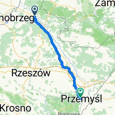 Stalowa Wola do I Paderewskiego, Przemy艣l