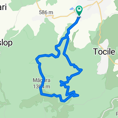 Vârful Magura Cisnădiei