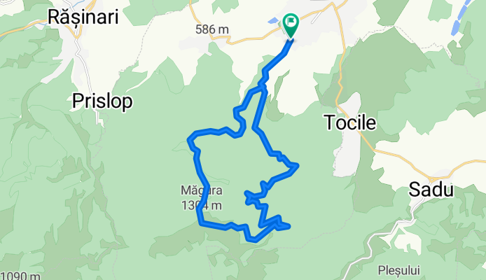 Vârful Magura Cisnădiei