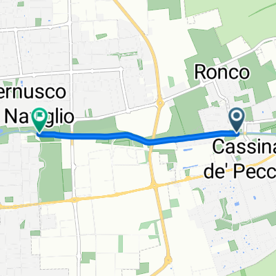 Cassina de' Pecchi a Via Lungo Naviglio, Cernusco sul Naviglio