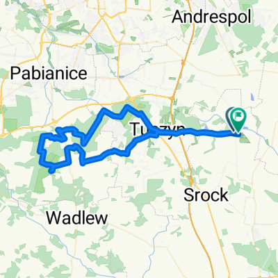 Tuszyńska, Czarnocin do Topolowa, Czarnocin