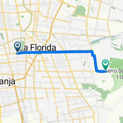 Pasaje La Cañamera, La Granja a Avenida Las Perdices, La Florida