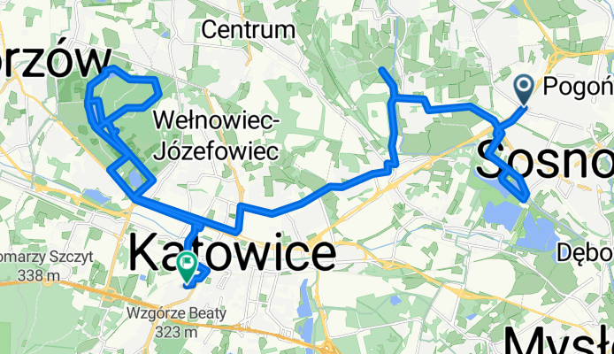 Generała Józefa Hallera do Strzelecka