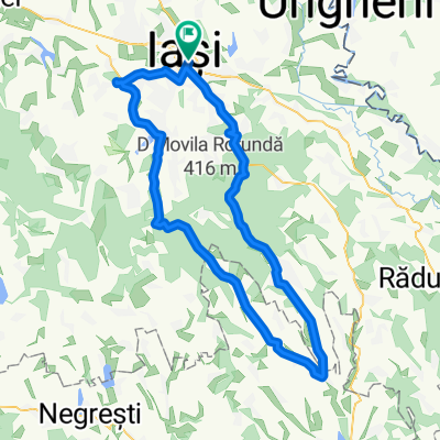 Iasi → Codaesti → Iasi