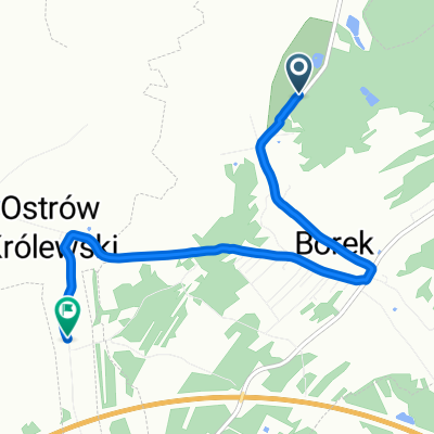 Borek, Rzezawa do Ostrów Królewski, Rzezawa