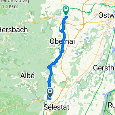 Scherwiller à Molsheim