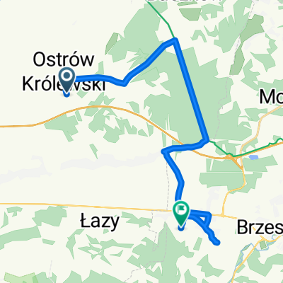 Ostrów Królewski, Rzezawa do Kasztanowa, Jasień