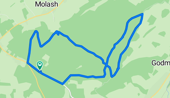 King's Wood ( small loop)