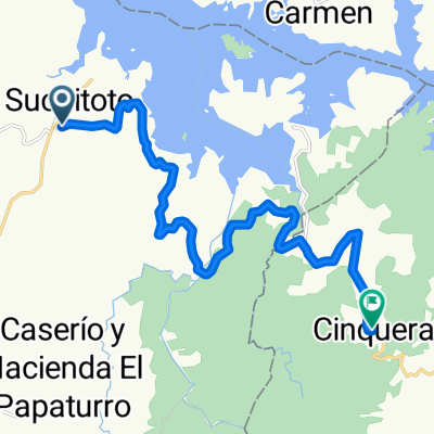 suchicinco