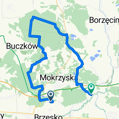 brzesko-okocim-short