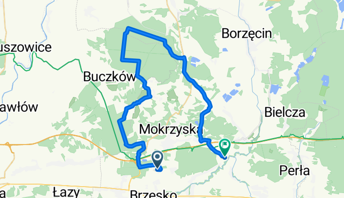 brzesko-okocim-short