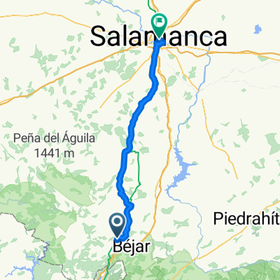 Calzada Bejar - Salamanca 80km