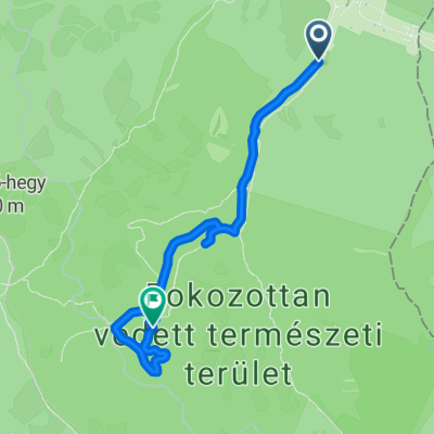 Királykúti utca - Macskások-Nyilasok dűlő