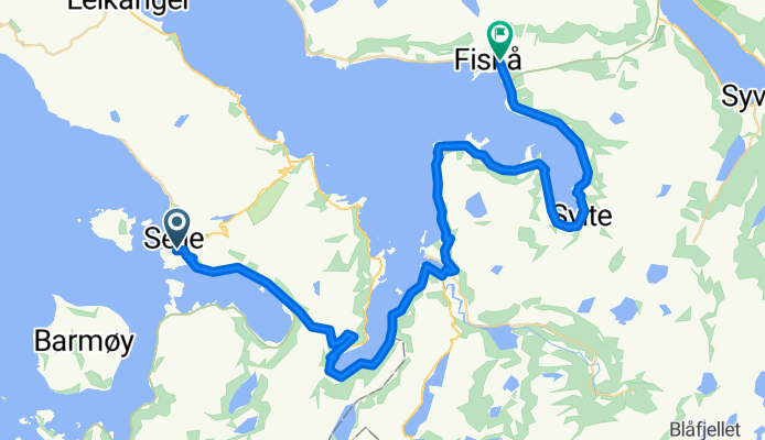 Selje - Fiskå