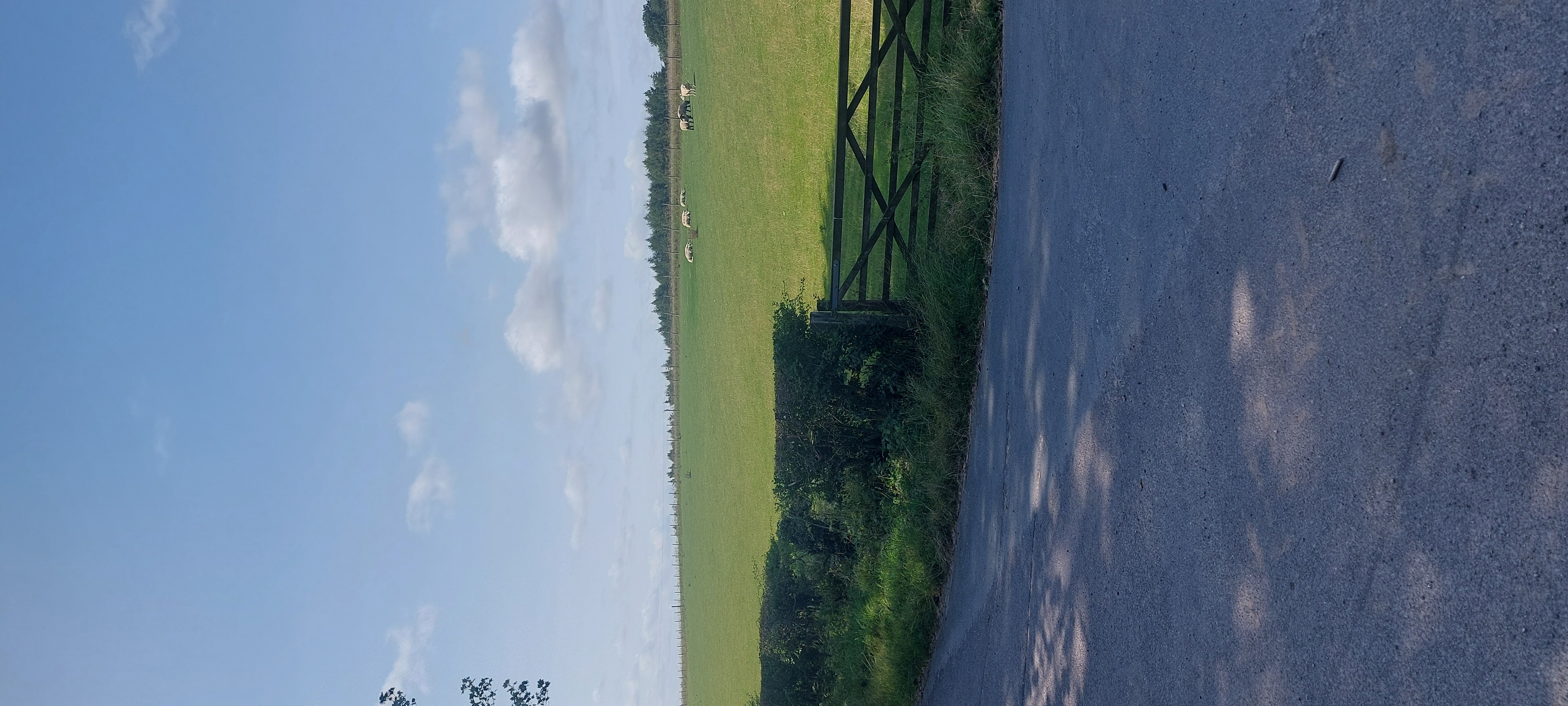 Gravel bike ride
