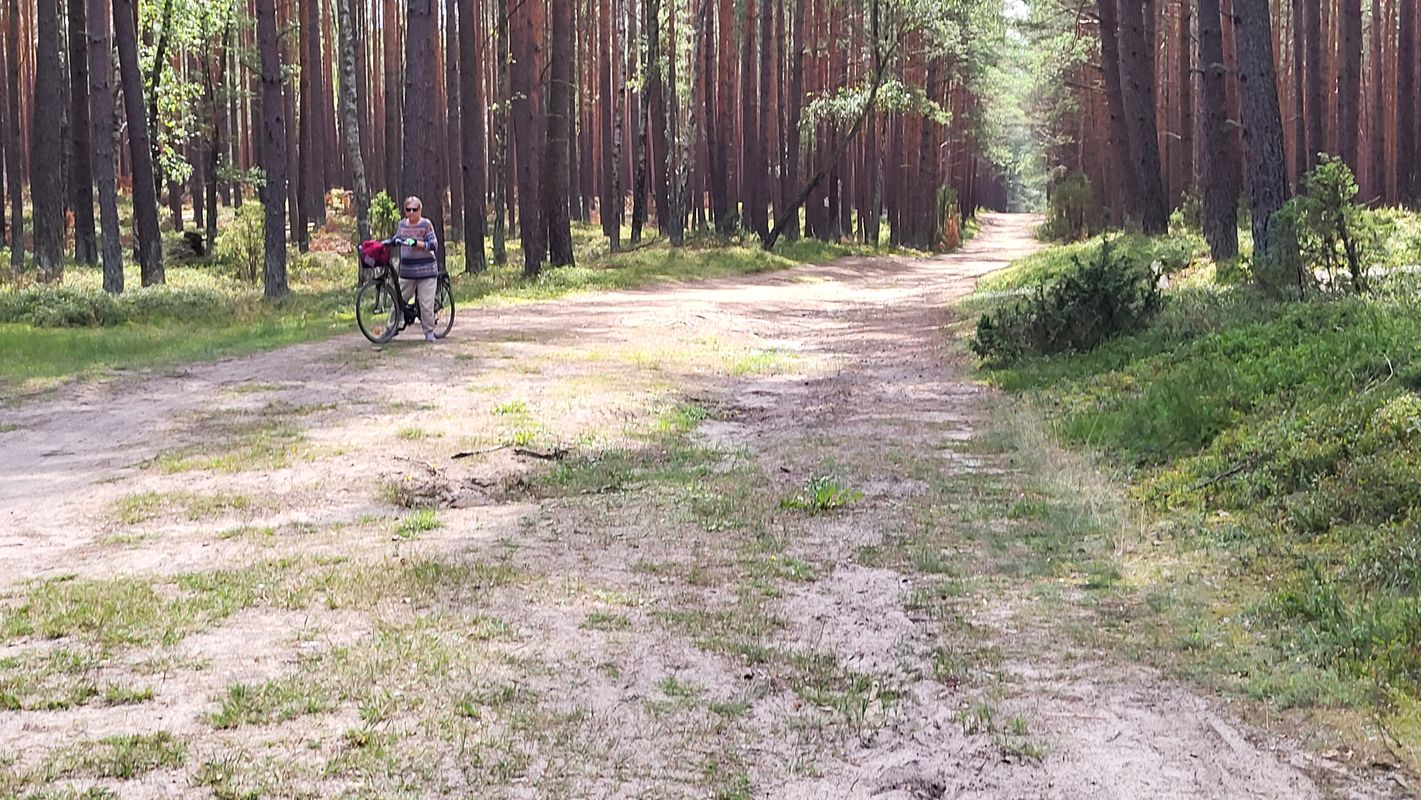 Chociński Młyn Bachorze Ch.M.