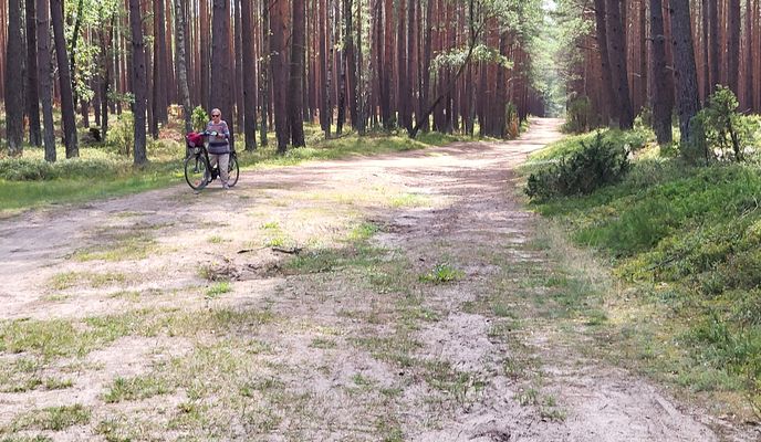 Photo 2 de l’itinéraire Bikemap « Chociński Młyn Bachorze Ch.M. »