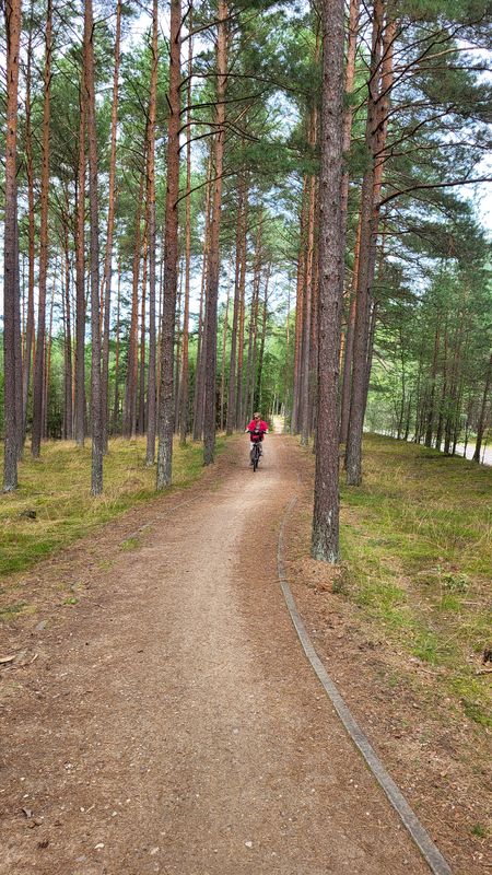Chociński Młyn Bachorze Ch.M.