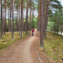 Chociński Młyn Bachorze Ch.M.