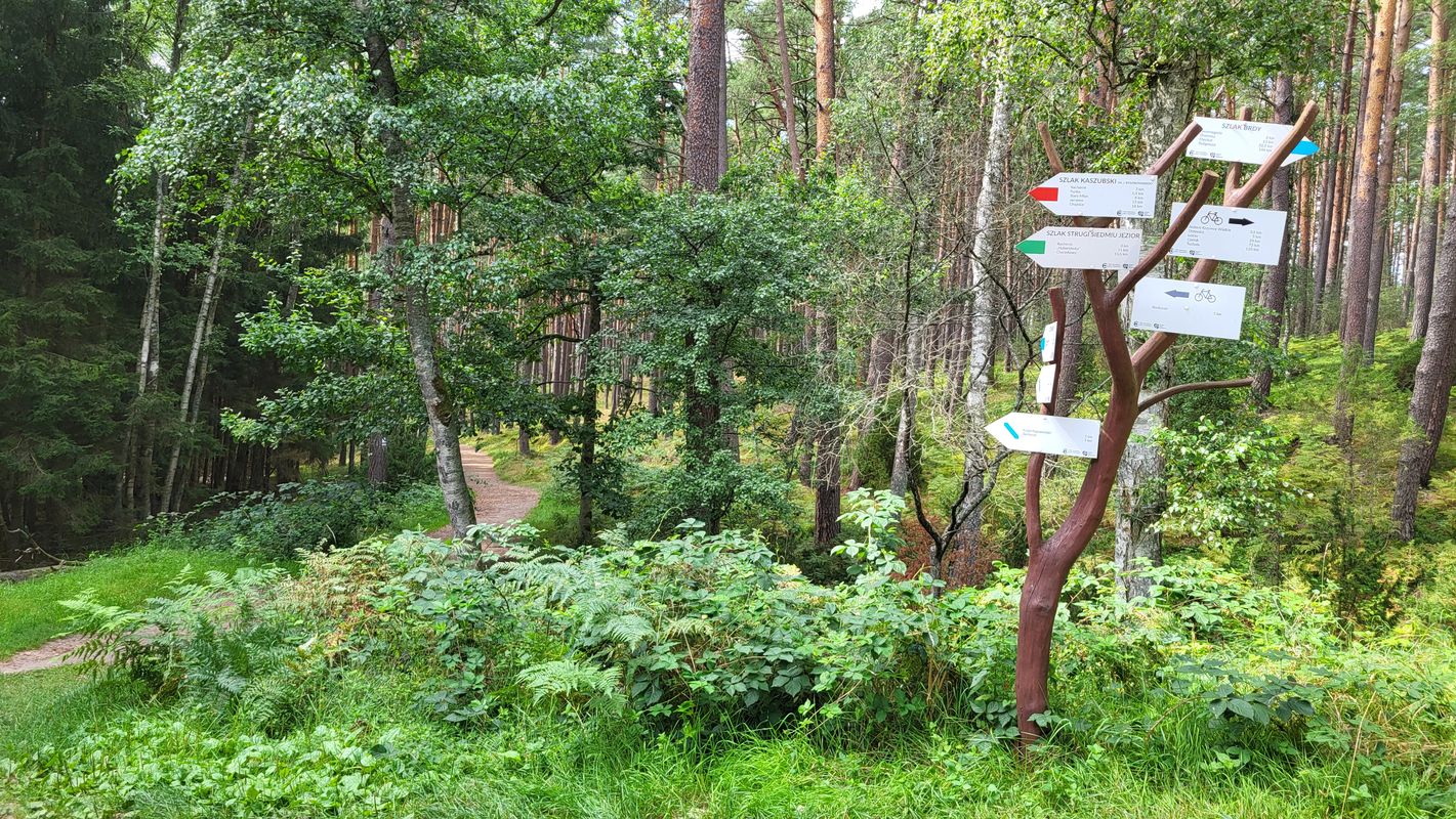 Chociński Młyn Bachorze Ch.M.