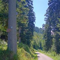Photo 8 of the Bikemap route "Große Enz trail"