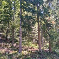 Photo 7 of the Bikemap route "Große Enz trail"