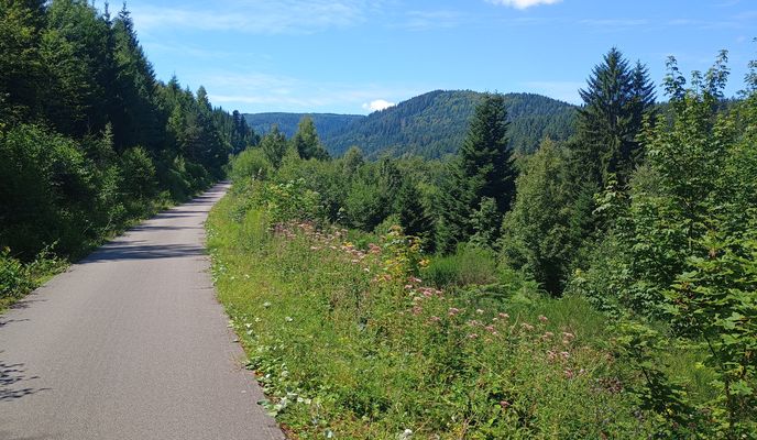 Photo 2 of the Bikemap route "Große Enz trail"