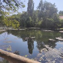 Zdjęcie 7 trasy Bikemap „tőkés malom”