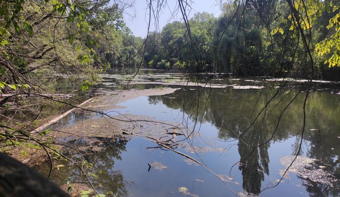 Zdjęcie 1 trasy Bikemap „tőkés malom”
