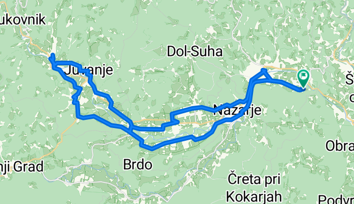 Forest naar Ljubno en terug