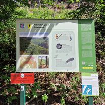 Schwarzatal