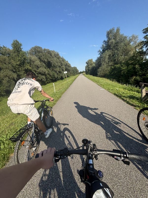 Albern, Mauthausen to Hafenstraße, Naarn im Machlande