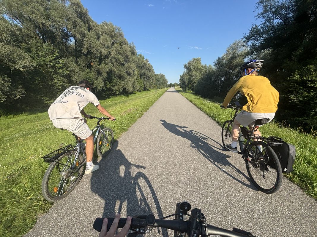 Albern, Mauthausen to Hafenstraße, Naarn im Machlande