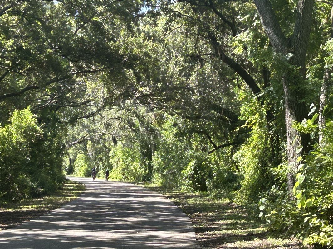 Alloway St, Tampa to Audry Ln, Tampa