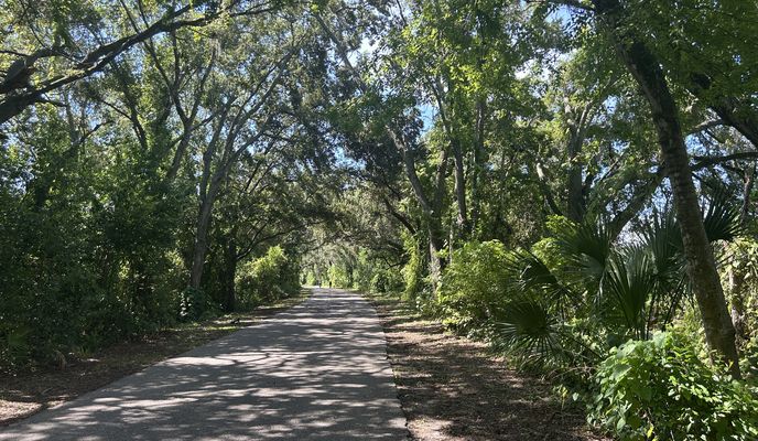 Photo 1 of the Bikemap route "Alloway St, Tampa to Audry Ln, Tampa"