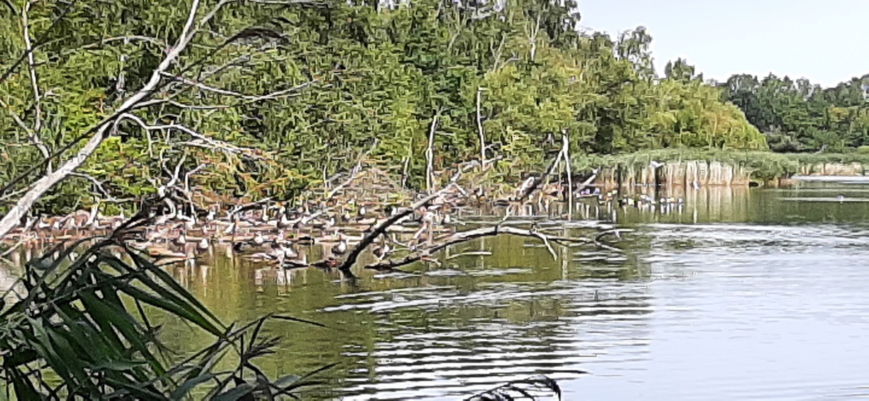 Gustav-Meisel-Straße nach Ebersbrunn