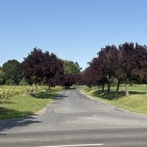 Zdjęcie 8 trasy Bikemap „Balaton utca, Badacsonytomaj - Bethlen Gábor utca, Szentgotthárd”