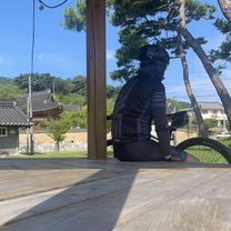 응암리, 대구광역시에서 응암리, 대구광역시까지