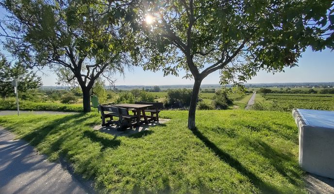 Zdjęcie 2 trasy Bikemap „Kirschblütenradweg Donnerskirchen nach Jois und zurück”