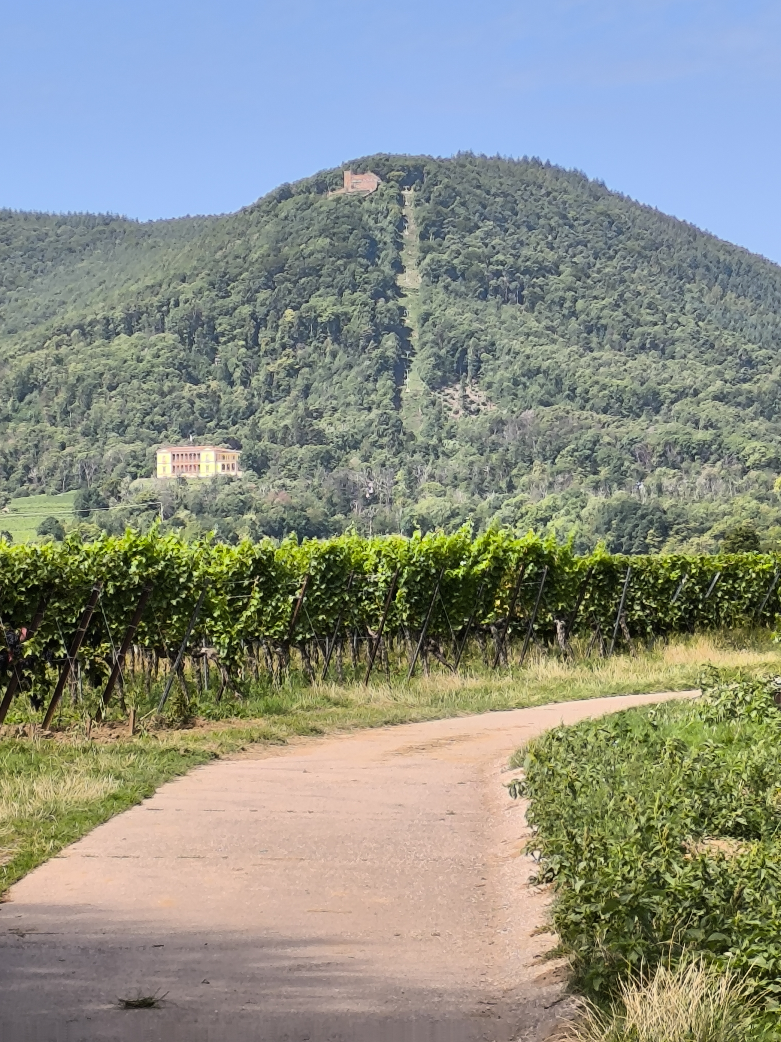 Weinstraßentour