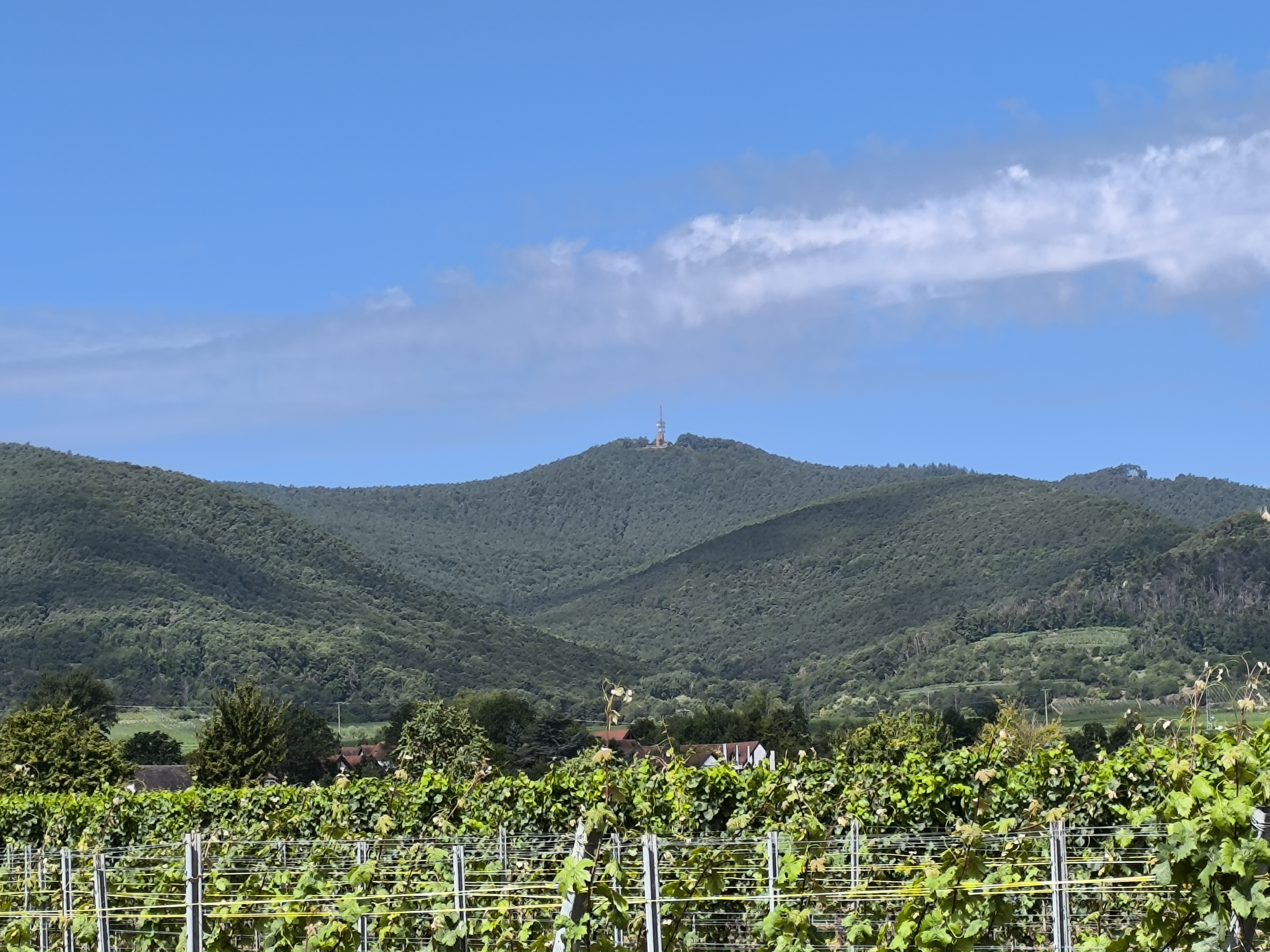 Weinstraßentour