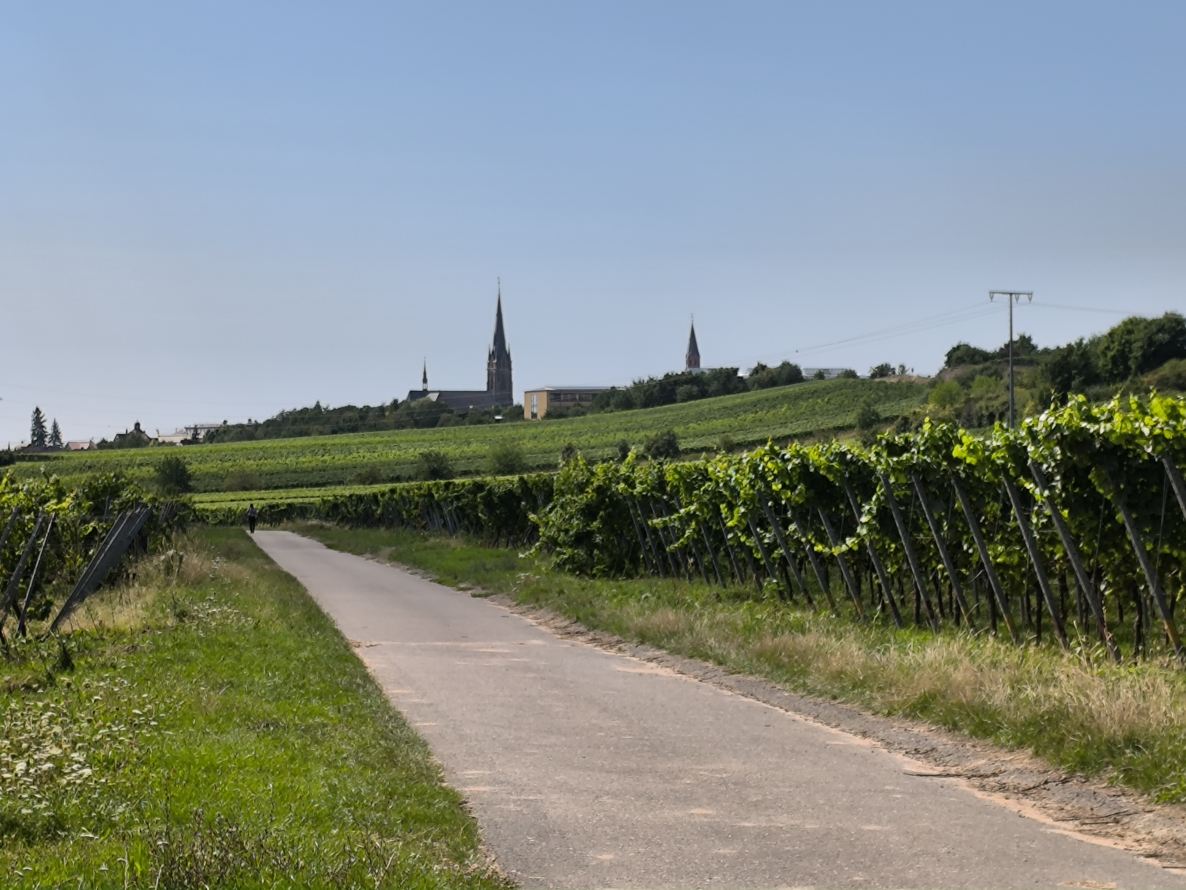 Weinstraßentour