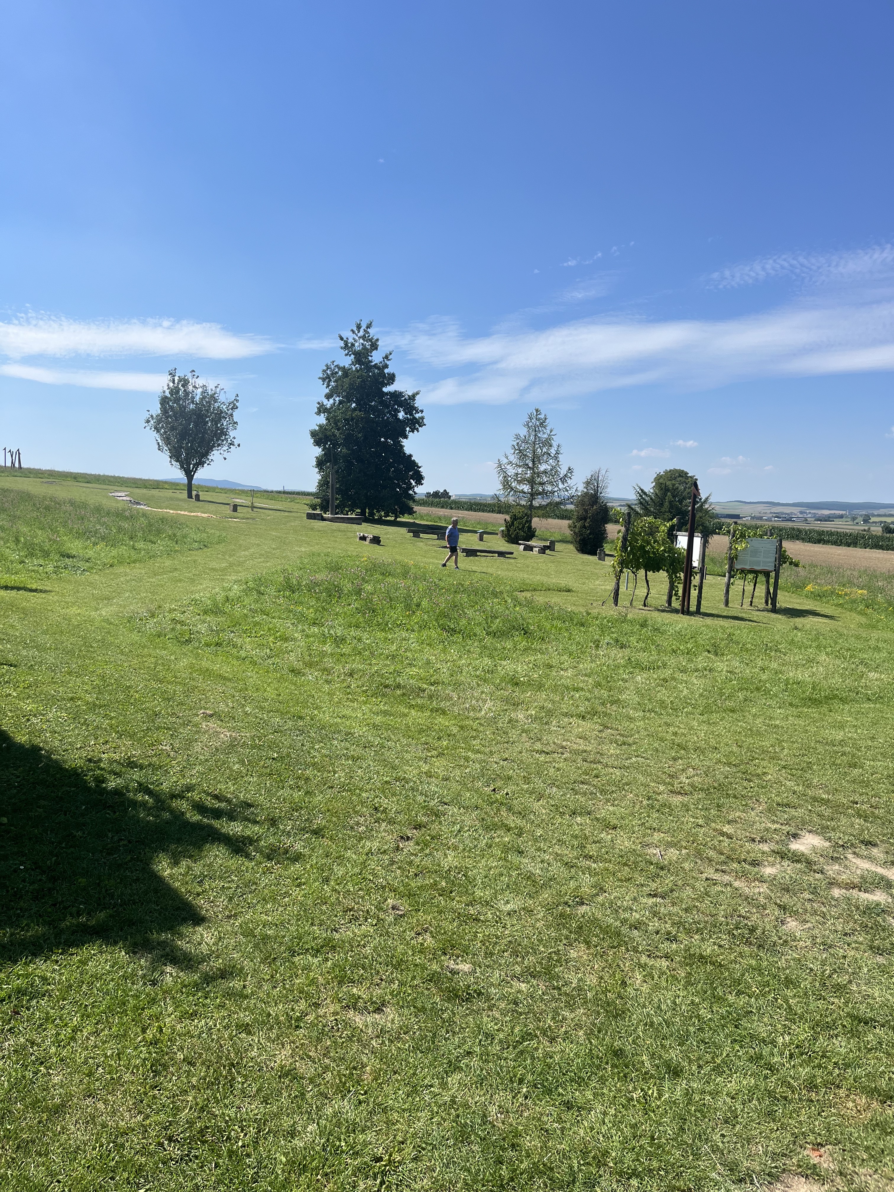 Dürnkrut nach Blumenthalerstraße, Mistelbach an der Zaya