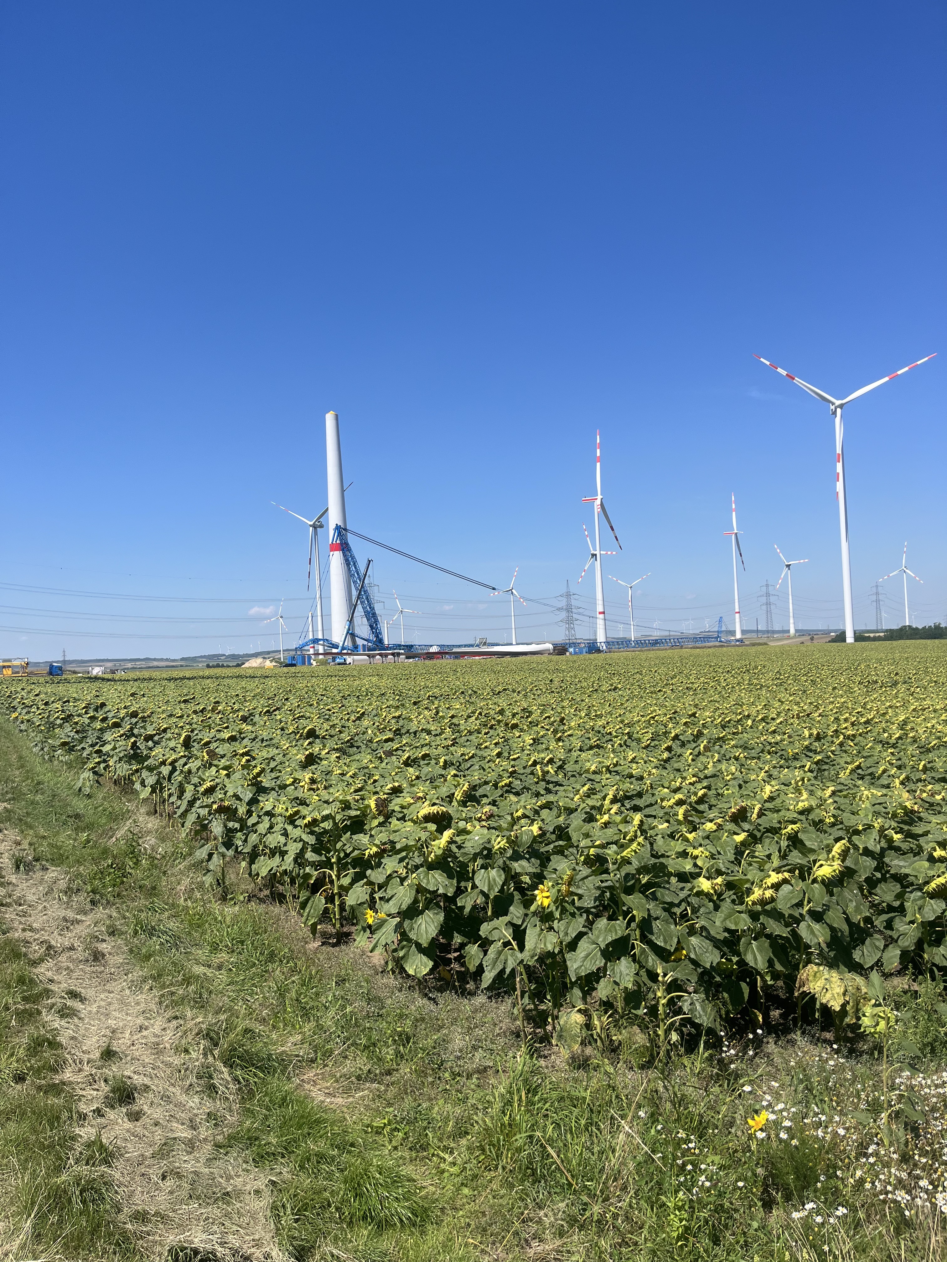 Dürnkrut nach Blumenthalerstraße, Mistelbach an der Zaya
