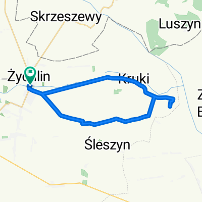 R Traugutta, Żychlin do R Traugutta, Żychlin