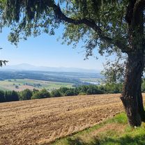 Zdjęcie 7 trasy Bikemap „Wachaustraße nach Wachaustraße”