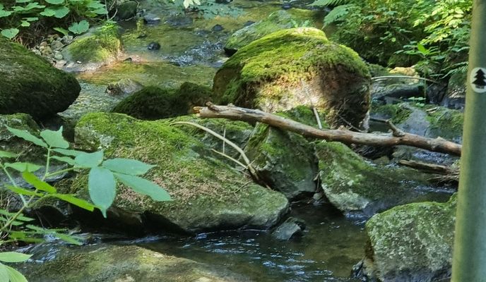 Zdjęcie 2 trasy Bikemap „Wachaustraße nach Wachaustraße”