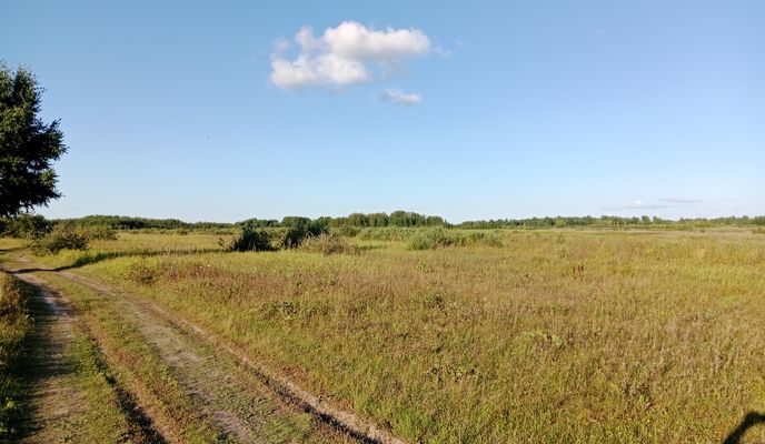 Foto 1 der Bikemap-Route "От Советская улица до Советская улица"