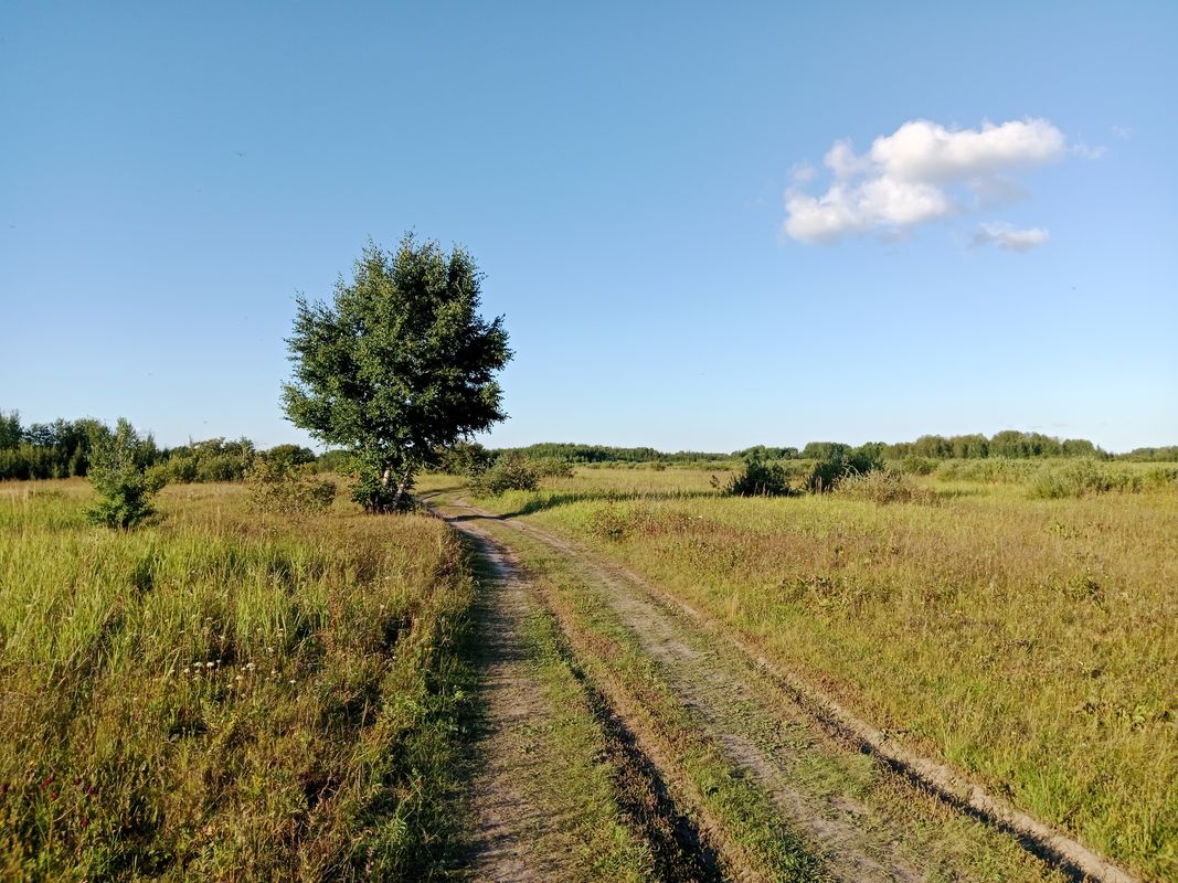 От Советская улица до Советская улица