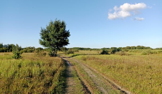 Foto 2 der Bikemap-Route "От Советская улица до Советская улица"